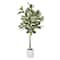 American Art Decor 5ft. Realistic Artificial Variegated Rubber Tree in White Pot